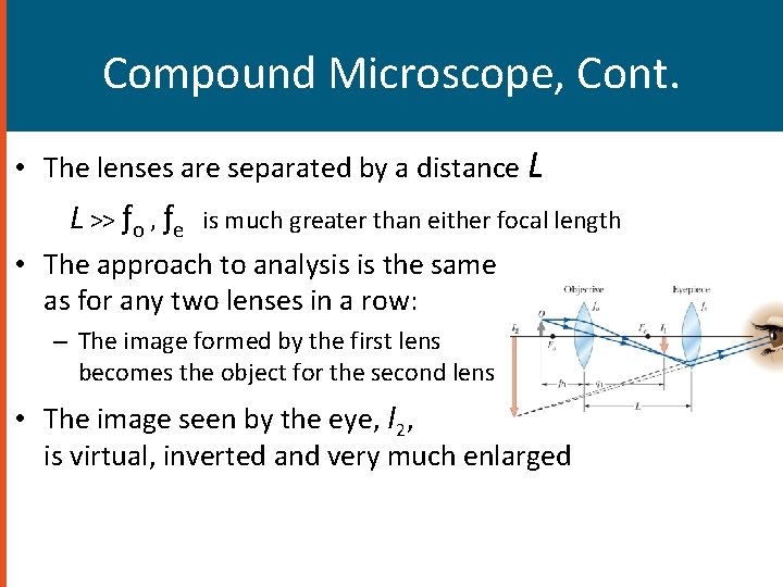 Compound Microscope, Cont. • The lenses are separated by a distance L L >>