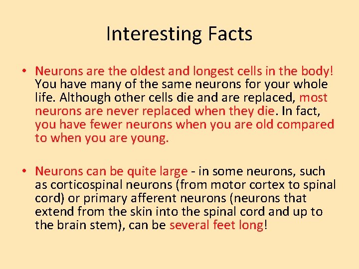 Interesting Facts • Neurons are the oldest and longest cells in the body! You