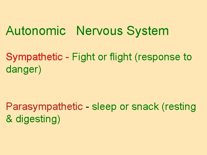 Autonomic Nervous System Sympathetic - Fight or flight (response to danger) Parasympathetic - sleep