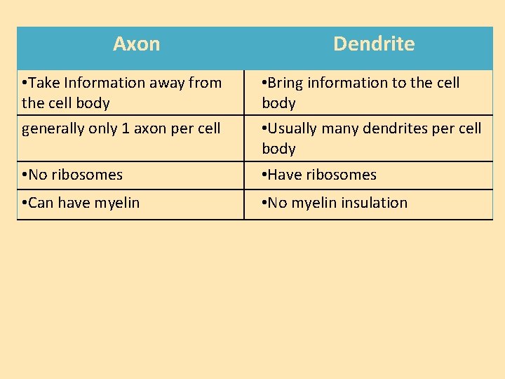Axon Dendrite • Take Information away from the cell body generally only 1 axon
