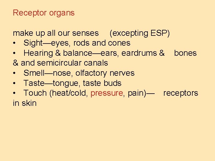 Receptor organs make up all our senses (excepting ESP) • Sight—eyes, rods and cones