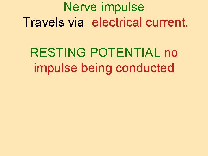 Nerve impulse Travels via electrical current. RESTING POTENTIAL no impulse being conducted 
