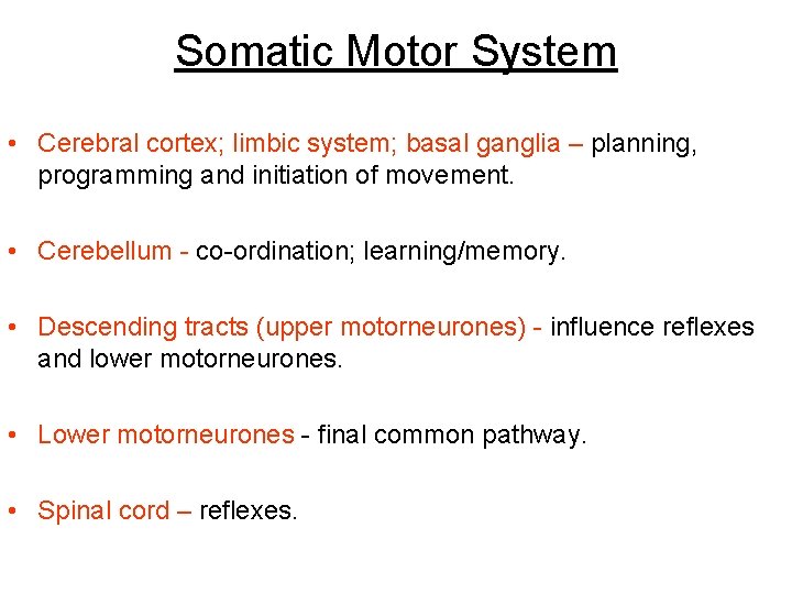 Somatic Motor System • Cerebral cortex; limbic system; basal ganglia – planning, programming and