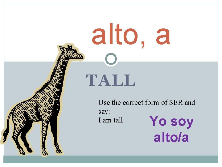 alto, a TALL Use the correct form of SER and say: I am tall alto, a TALL Use the correct form of SER and say: I am tall
