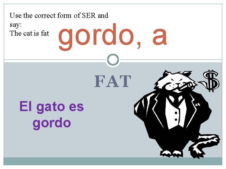 Use the correct form of SER and say: The cat is fat gordo, a Use the correct form of SER and say: The cat is fat gordo, a