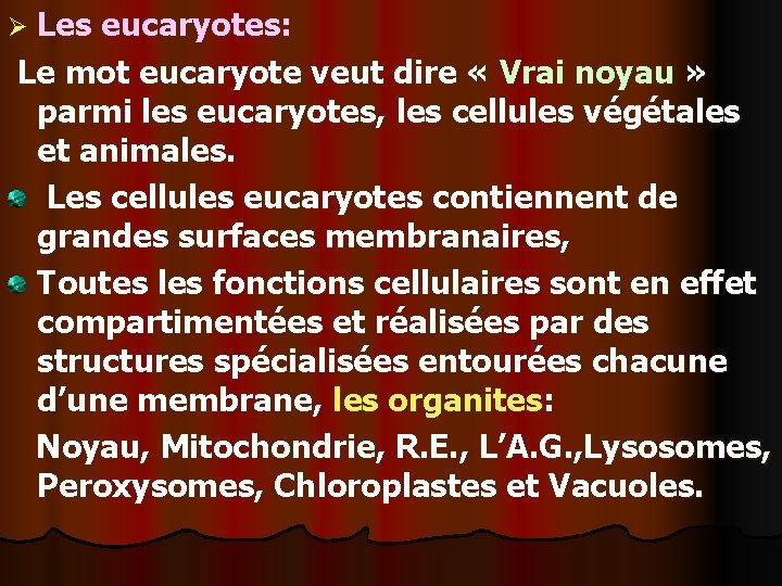 Ø Les eucaryotes: Le mot eucaryote veut dire « Vrai noyau » parmi les