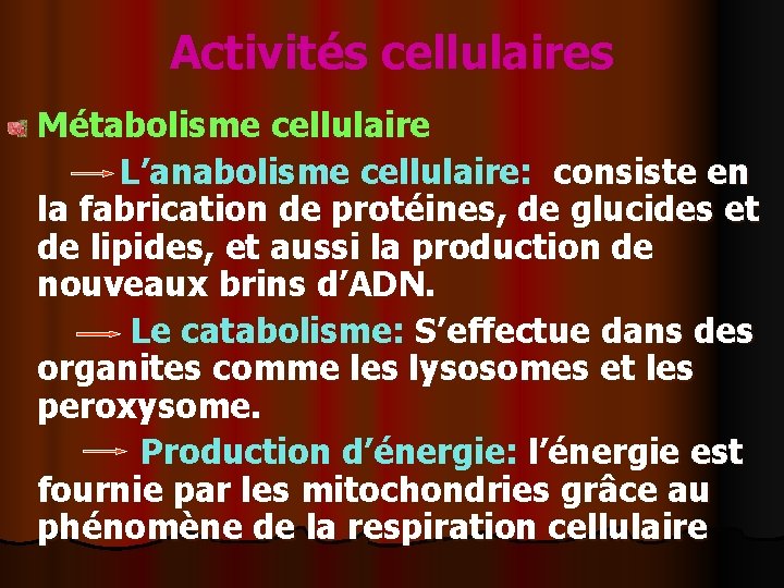 Activités cellulaires Métabolisme cellulaire L’anabolisme cellulaire: consiste en la fabrication de protéines, de glucides