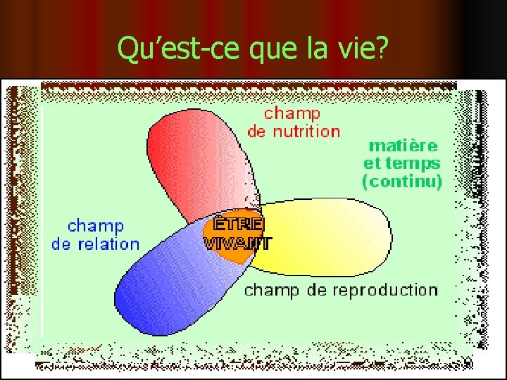 Qu’est-ce que la vie? 