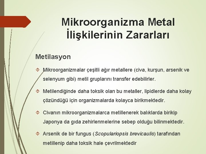 Mikroorganizma Metal İlişkilerinin Zararları Metilasyon Mikroorganizmalar çeşitli ağır metallere (civa, kurşun, arsenik ve selenyum