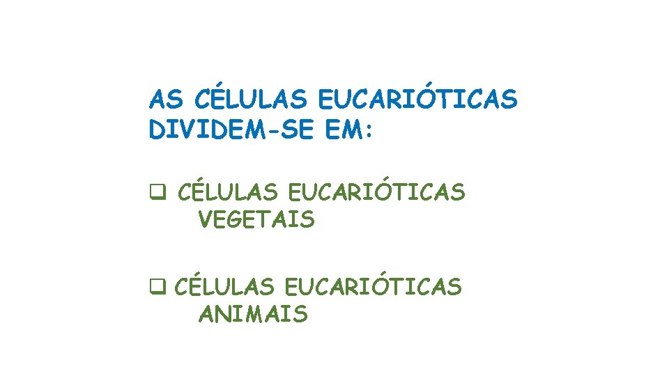 AS CÉLULAS EUCARIÓTICAS DIVIDEM-SE EM: q CÉLULAS EUCARIÓTICAS VEGETAIS q CÉLULAS EUCARIÓTICAS ANIMAIS 