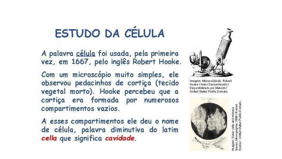 ESTUDO DA CÉLULA A palavra célula foi usada, pela primeira vez, em 1667, pelo