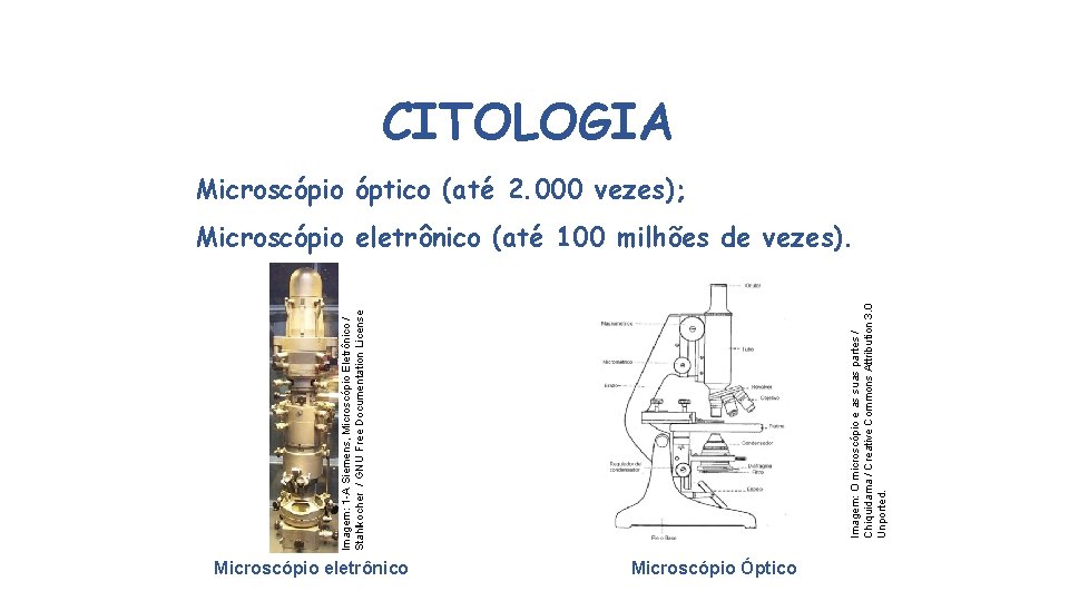 Microscópio eletrônico Imagem: O microscópio e as suas partes / Chiquidama / Creative Commons