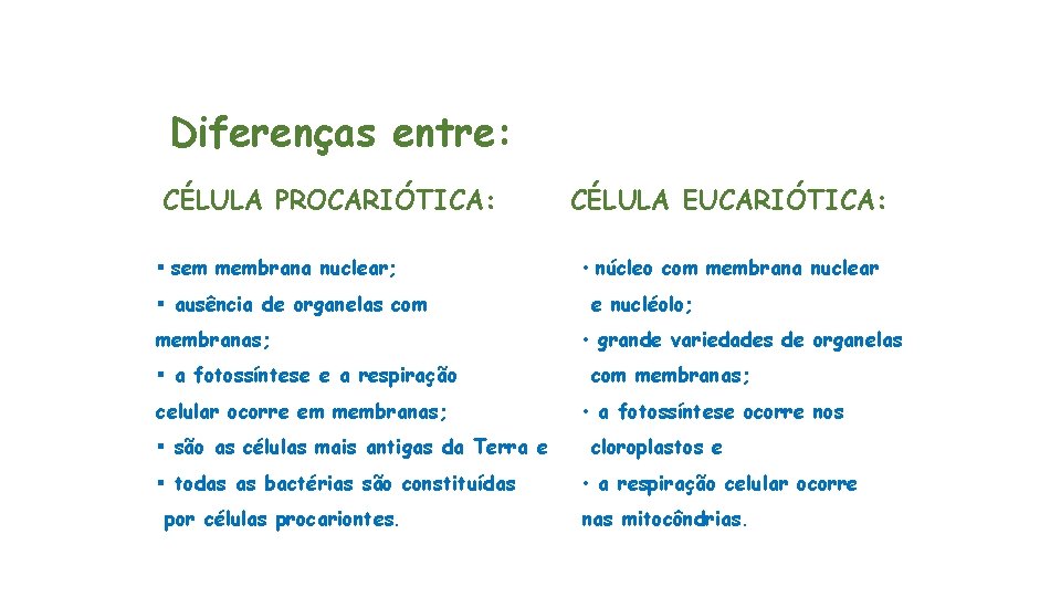 Diferenças entre: CÉLULA PROCARIÓTICA: § sem membrana nuclear; § ausência de organelas com membranas;