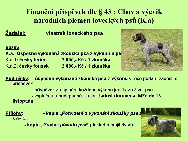 Finanční příspěvek dle § 43 : Chov a výcvik národních plemen loveckých psů (K.