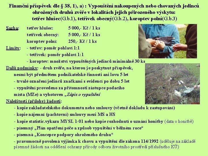 Finanční příspěvek dle § 38, 1), a) : Vypouštění nakoupených nebo chovaných jedinců ohrožených