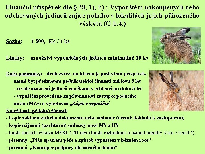 Finanční příspěvek dle § 38, 1), b) : Vypouštění nakoupených nebo odchovaných jedinců zajíce