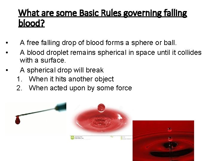 What are some Basic Rules governing falling blood? • • • A free falling