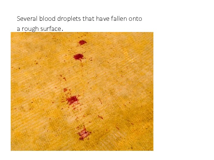 Several blood droplets that have fallen onto a rough surface. 