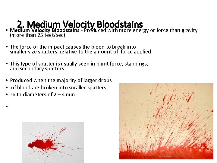 2. Medium Velocity Bloodstains • Medium Velocity Bloodstains - Produced with more energy or