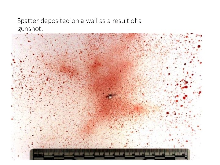Spatter deposited on a wall as a result of a gunshot. 