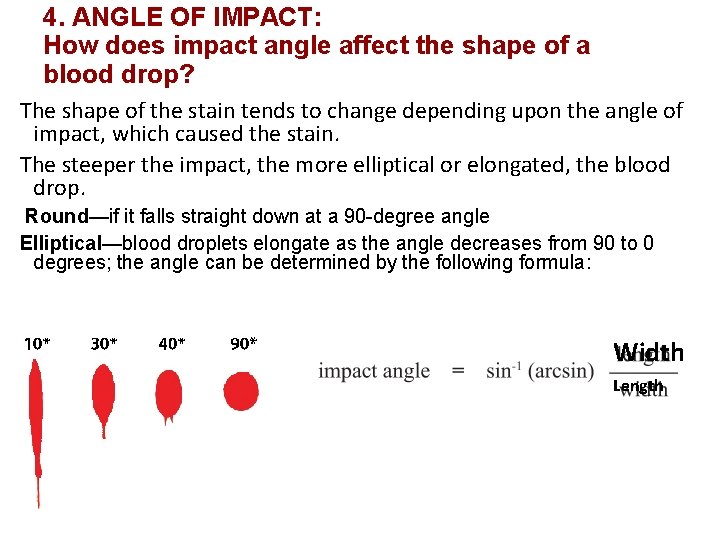 4. ANGLE OF IMPACT: How does impact angle affect the shape of a blood