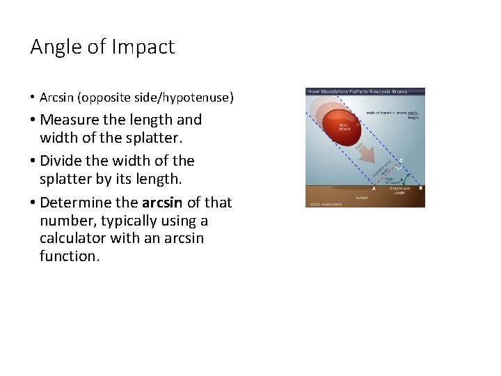 Angle of Impact • Arcsin (opposite side/hypotenuse) • Measure the length and width of