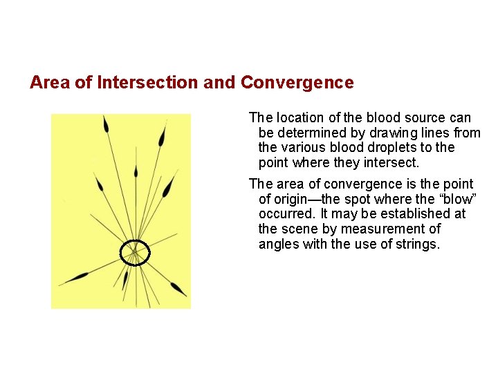 Area of Intersection and Convergence The location of the blood source can be determined