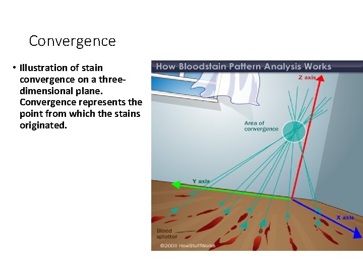 Convergence • Illustration of stain convergence on a threedimensional plane. Convergence represents the point