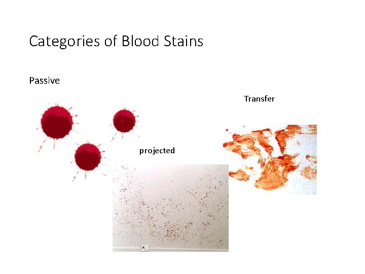 Categories of Blood Stains Passive Transfer projected 
