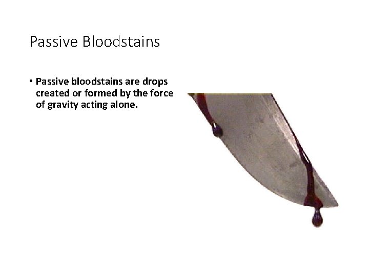 Passive Bloodstains • Passive bloodstains are drops created or formed by the force of