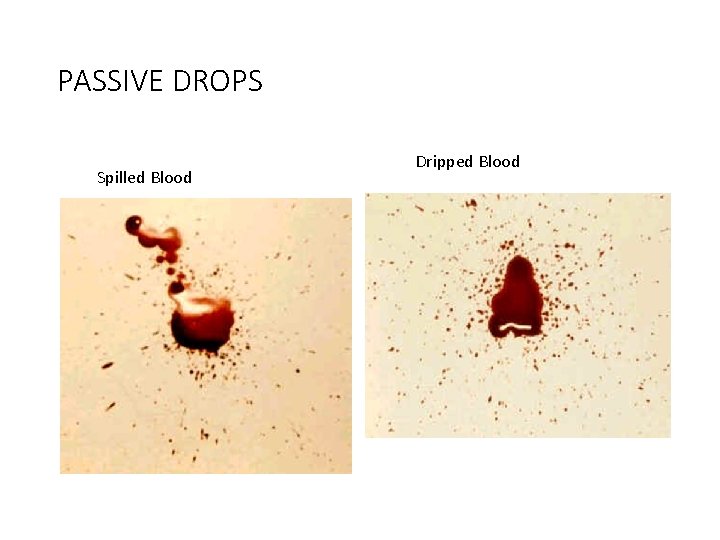 PASSIVE DROPS Spilled Blood Dripped Blood 