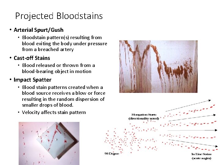 Projected Bloodstains • Arterial Spurt/Gush • Bloodstain pattern(s) resulting from blood exiting the body