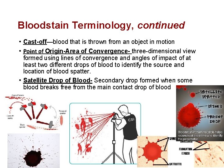 Bloodstain Terminology, continued • Cast-off—blood that is thrown from an object in motion •