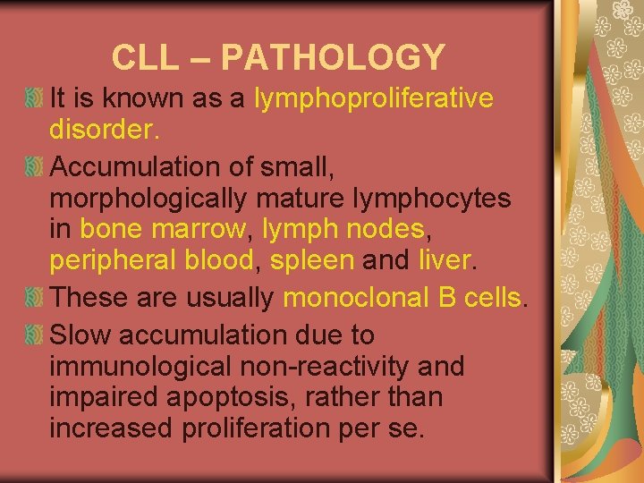 CLL – PATHOLOGY It is known as a lymphoproliferative disorder. Accumulation of small, morphologically