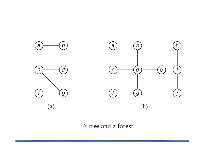 A tree and a forest 