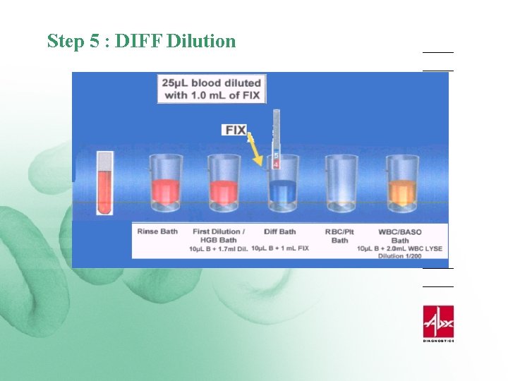 Step 5 : DIFF Dilution 