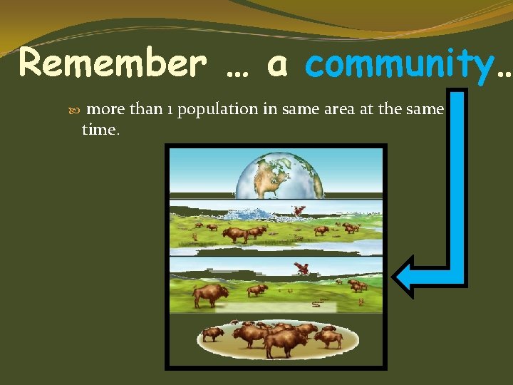 Remember … a community… more than 1 population in same area at the same