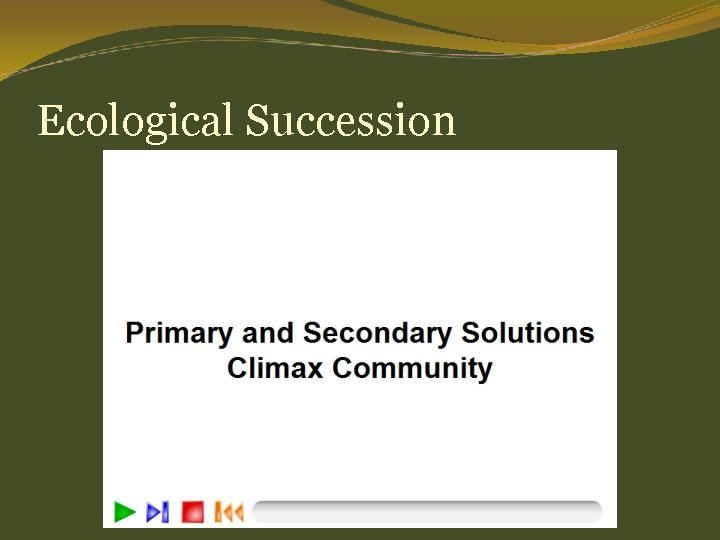 Ecological Succession 