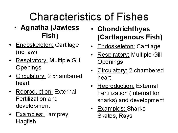 Characteristics of Fishes • Agnatha (Jawless Fish) • Chondrichthyes (Cartlagenous Fish) • Endoskeleton: Cartilage