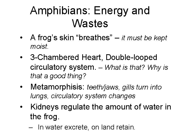 Amphibians: Energy and Wastes • A frog’s skin “breathes” – it must be kept
