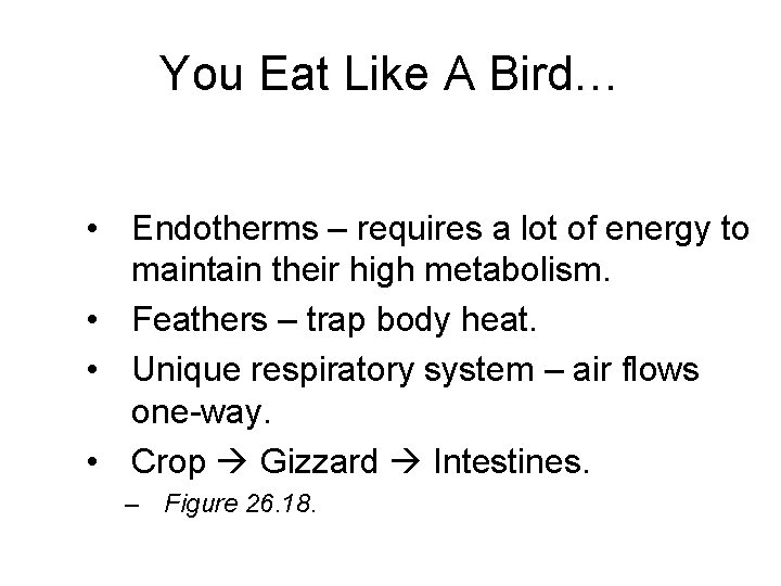 You Eat Like A Bird… • Endotherms – requires a lot of energy to