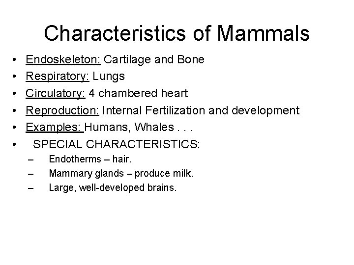 Characteristics of Mammals • • • Endoskeleton: Cartilage and Bone Respiratory: Lungs Circulatory: 4