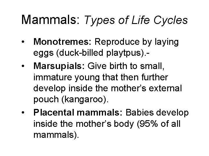 Mammals: Types of Life Cycles • Monotremes: Reproduce by laying eggs (duck-billed playtpus). •