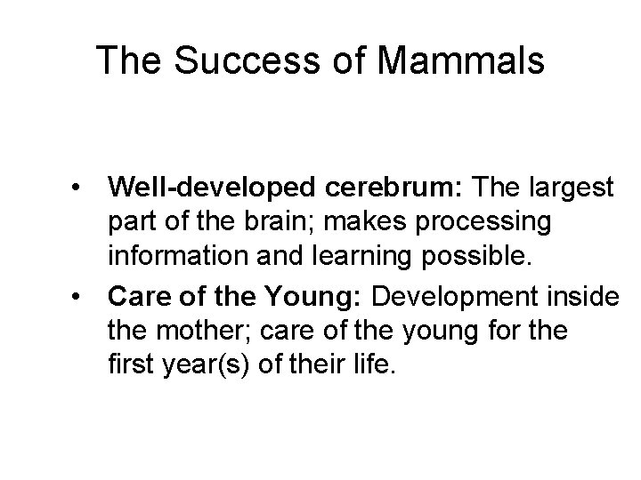 The Success of Mammals • Well-developed cerebrum: The largest part of the brain; makes