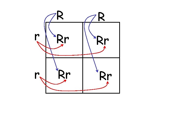R R r Rr Rr 
