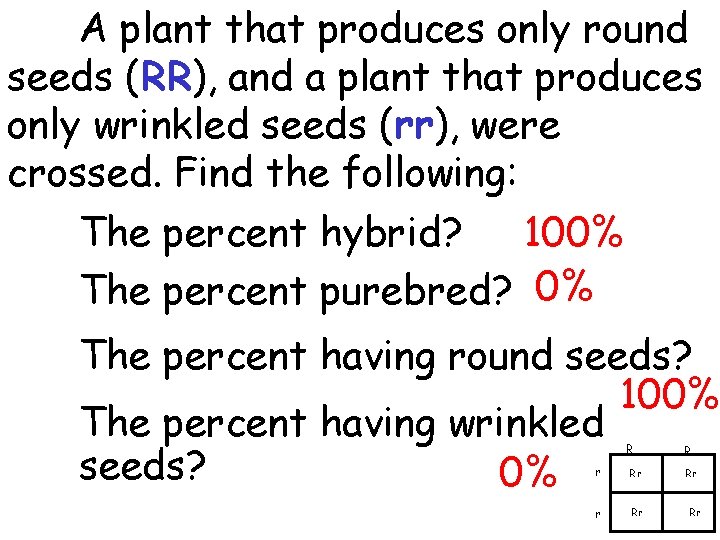 A plant that produces only round seeds (RR), and a plant that produces only