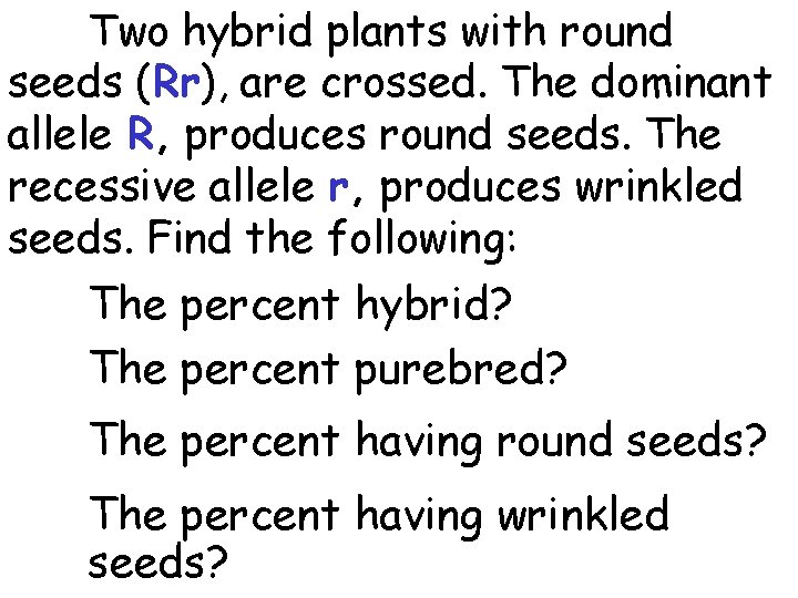 Two hybrid plants with round seeds (Rr), are crossed. The dominant allele R, produces