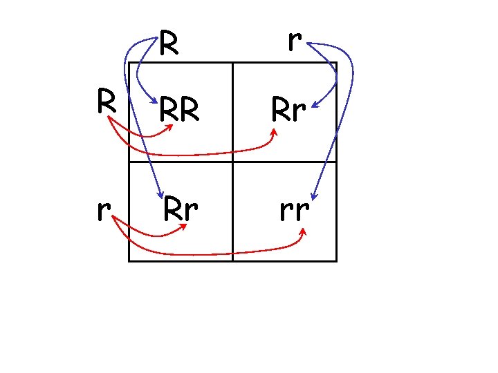 R r R RR Rr rr 