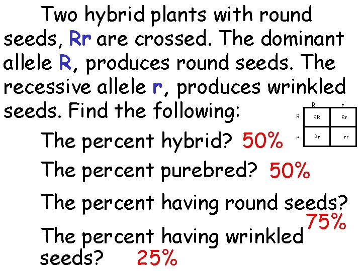 Two hybrid plants with round seeds, Rr are crossed. The dominant allele R, produces