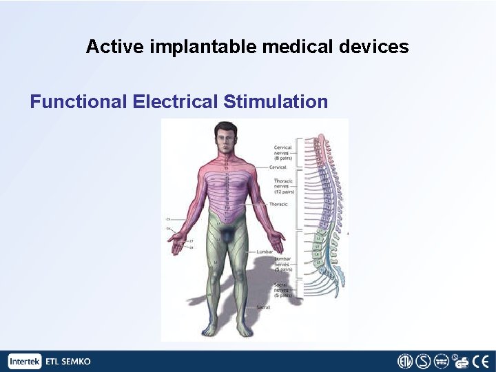 Active implantable medical devices Functional Electrical Stimulation 